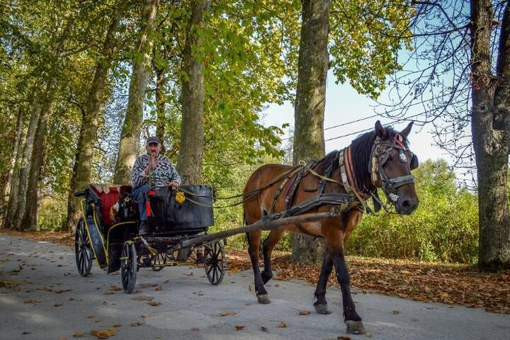 Private Horse-Drawn Carriage Ride to Vrelo Bosne - Photo 1 of 10